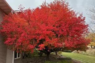 N7494 County Road N, New Glarus, WI 53574 - Photo 78