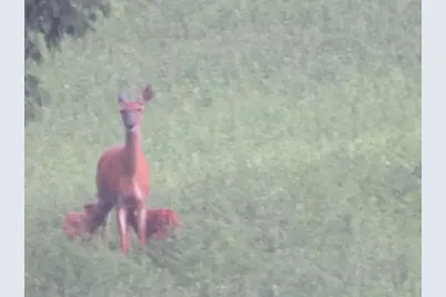 S7300 &amp; S7304 Sandusky Road, Hillpoint, WI 53937 - Photo 84