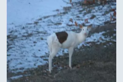 S7300 &amp; S7304 Sandusky Road, Hillpoint, WI 53937 - Photo 6