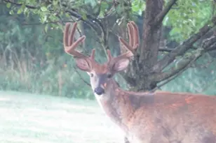 S7300 &amp S7304 Sandusky Rd, Hillpoint, WI 53937 - Photo 82