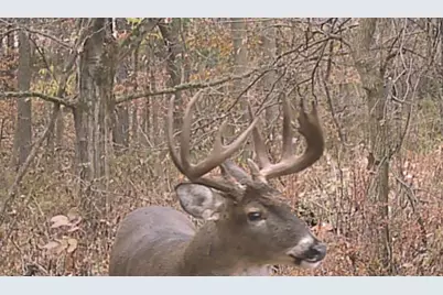 S7304 Sandusky Road, Hillpoint, WI 53937 - Photo 90