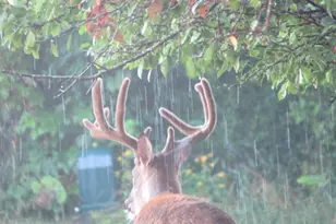 S7304 Sandusky Rd, Hillpoint, WI 53937 - Photo 26