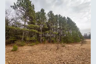 2Ac Cree Road, Coloma, WI 54930 - Photo 2