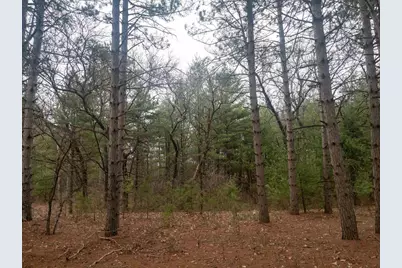 2Ac Cree Road, Coloma, WI 54930 - Photo 6