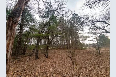 2Ac Cree Road, Coloma, WI 54930 - Photo 8