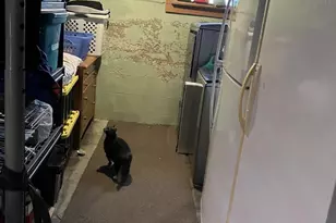 1234 Center Ave, Janesville, WI 53546 - Photo 12