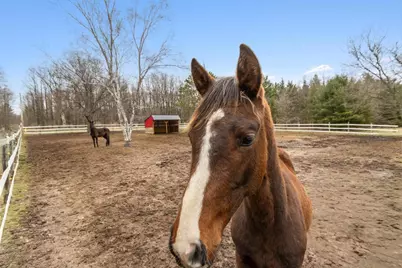 1135 County Road K Road, Dell Prairie, WI 53965 - Photo 76