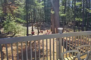 W4237 Wildwood Dr, Mauston, WI 53948 - Photo 56