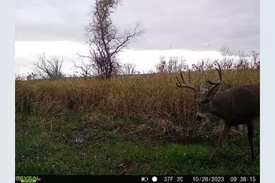 44+/- Acres 14th Road, Montello, WI 53949 - Photo 16