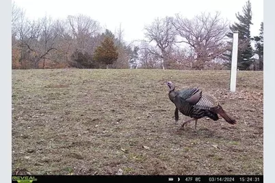 44+/- Acres 14th Road, Montello, WI 53949 - Photo 10