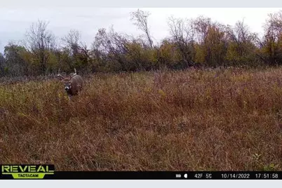 44+/- Acres 14th Road, Montello, WI 53949 - Photo 26