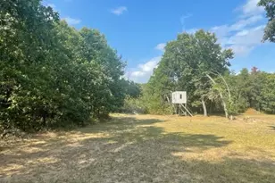 1572 Apache Ave, Nekoosa, WI 54457 - Photo 4