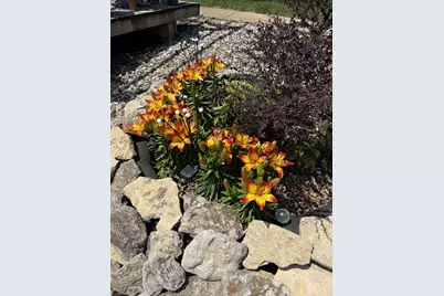 33453 Jeidy Hill Road, Wauzeka, WI 53826 - Photo 16