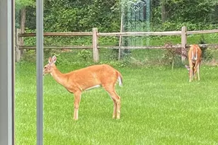 3319 Saracen Way, Verona, WI 53593 - Photo 76