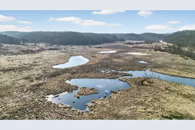 271.18 Acres Zwettler/Foster Road, Arena, WI 53503 - Photo 26