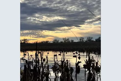 271.18 Acres Zwettler/Foster Road, Arena, WI 53503 - Photo 38