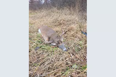 271.18 Acres Zwettler/Foster Road, Arena, WI 53503 - Photo 44