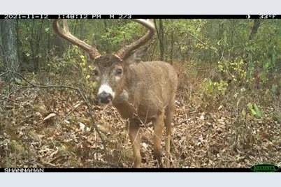 271.18 Acres Zwettler/Foster Road, Arena, WI 53503 - Photo 40