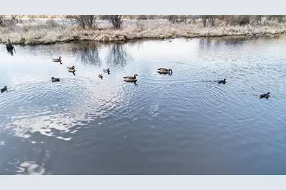 271.18 Acres Zwettler/Foster Road, Arena, WI 53503 - Photo 36
