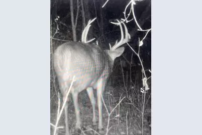 271.18 Acres Zwettler/Foster Road, Arena, WI 53503 - Photo 42