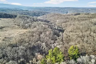 271 18 Acres Zwettler/Foster Rd, Arena, WI 53503 - Photo 1