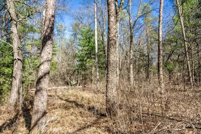 Lot 3 Morros Mile Road, Necedah, WI 54646 - Photo 22