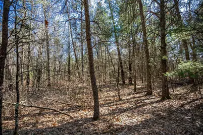 Lot 3 Morros Mile Road, Necedah, WI 54646 - Photo 20