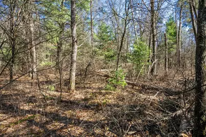 Lot 3 Morros Mile Road, Necedah, WI 54646 - Photo 26