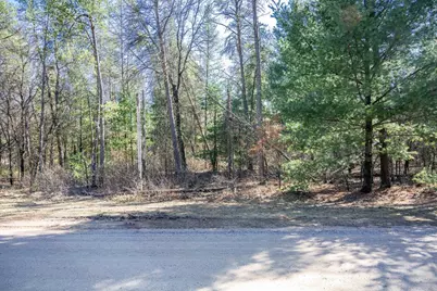 Lot 3 Morros Mile Road, Necedah, WI 54646 - Photo 28