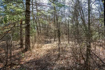 Lot 3 Morros Mile Road, Necedah, WI 54646 - Photo 10