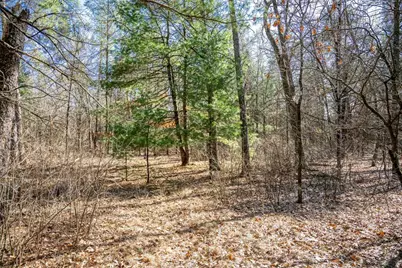 Lot 3 Morros Mile Road, Necedah, WI 54646 - Photo 24