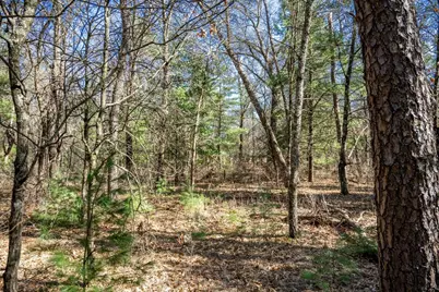 Lot 3 Morros Mile Road, Necedah, WI 54646 - Photo 12