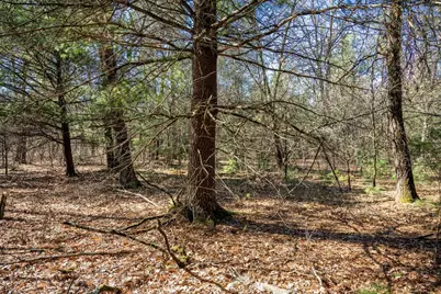 Lot 4 Morros Mile Road, Necedah, WI 54646 - Photo 20