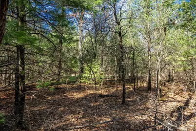 Lot 4 Morros Mile Road, Necedah, WI 54646 - Photo 2