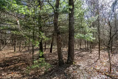 Lot 4 Morros Mile Road, Necedah, WI 54646 - Photo 12