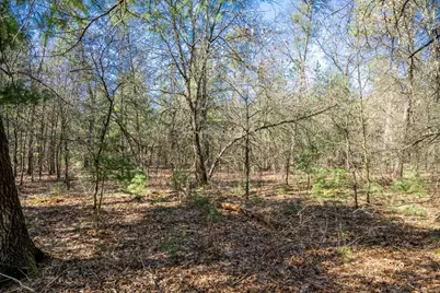 Lot 4 Morros Mile Road, Necedah, WI 54646 - Photo 22