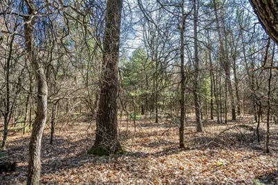 Lot 4 Morros Mile Road, Necedah, WI 54646 - Photo 14