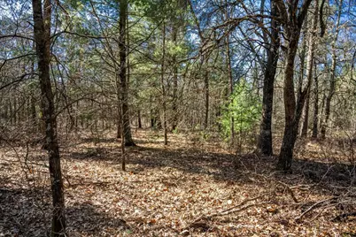 Lot 4 Morros Mile Road, Necedah, WI 54646 - Photo 16