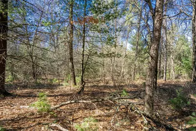 Lot 4 Morros Mile Road, Necedah, WI 54646 - Photo 18