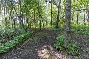 N7012 County Rd J Rd, Monticello, WI 53570 - Photo 76