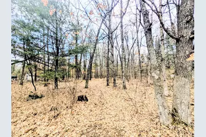 0 11th Avenue, Friendship, WI 53934 - Photo 2