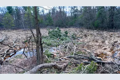 Lot 3 +/- 87 Ac Dover Drive, Adams, WI 53910 - Photo 22