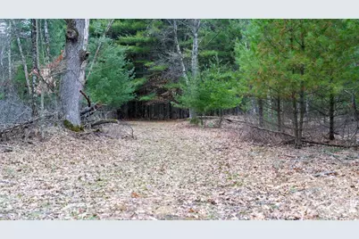 Lot 3 +/- 87 Ac Dover Drive, Adams, WI 53910 - Photo 32