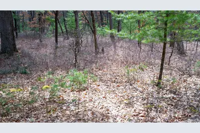 Lot 3 +/- 87 Ac Dover Drive, Adams, WI 53910 - Photo 14