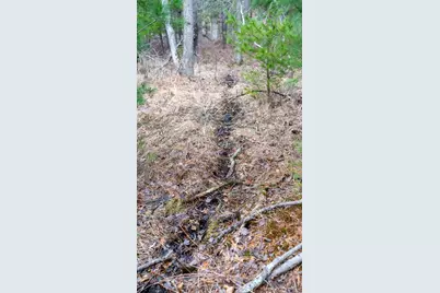 Lot 3 +/- 87 Ac Dover Drive, Adams, WI 53910 - Photo 18