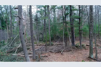 Lot 3 +/- 87 Ac Dover Drive, Adams, WI 53910 - Photo 26