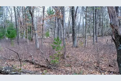 Lot 3 +/- 87 Ac Dover Drive, Adams, WI 53910 - Photo 16