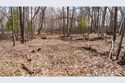 Lot 4 +/- 111Ac Dover Drive, Adams, WI 53910 - Photo 8