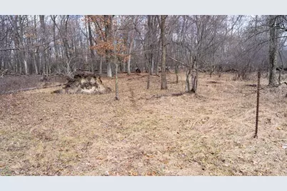 Lot 4 +/- 111Ac Dover Drive, Adams, WI 53910 - Photo 4