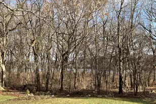 7402 Longmeadow Rd, Madison, WI 53717 - Photo 58